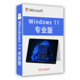 Windows 11 专业版
